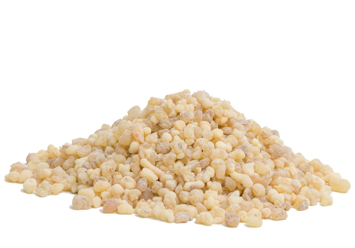 OLIBANUM_ERITREIA