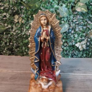 Nossa Senhora de Guadalupe ENV048