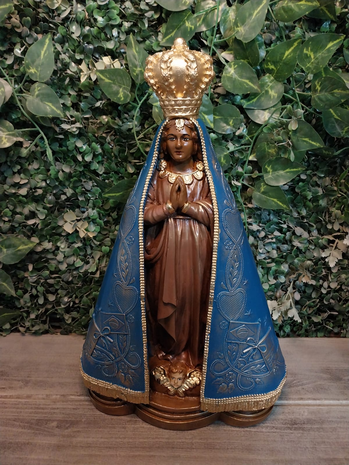 Nossa Senhora Aparecida FAC ENV147