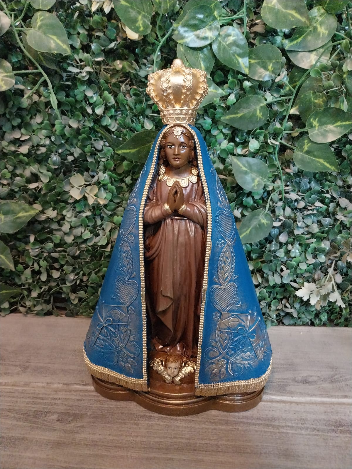 Nossa Senhora Aparecida FAC ENV146
