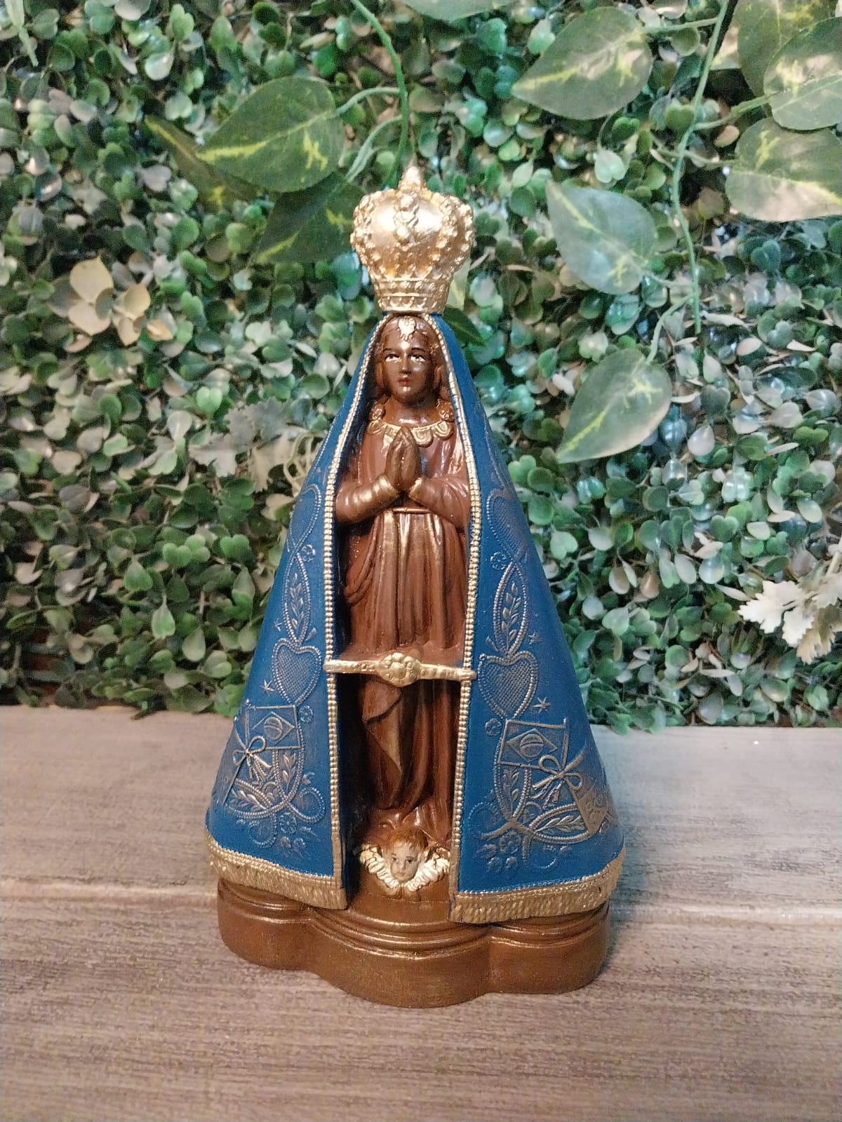 Nossa Senhora Aparecida FAC ENV145