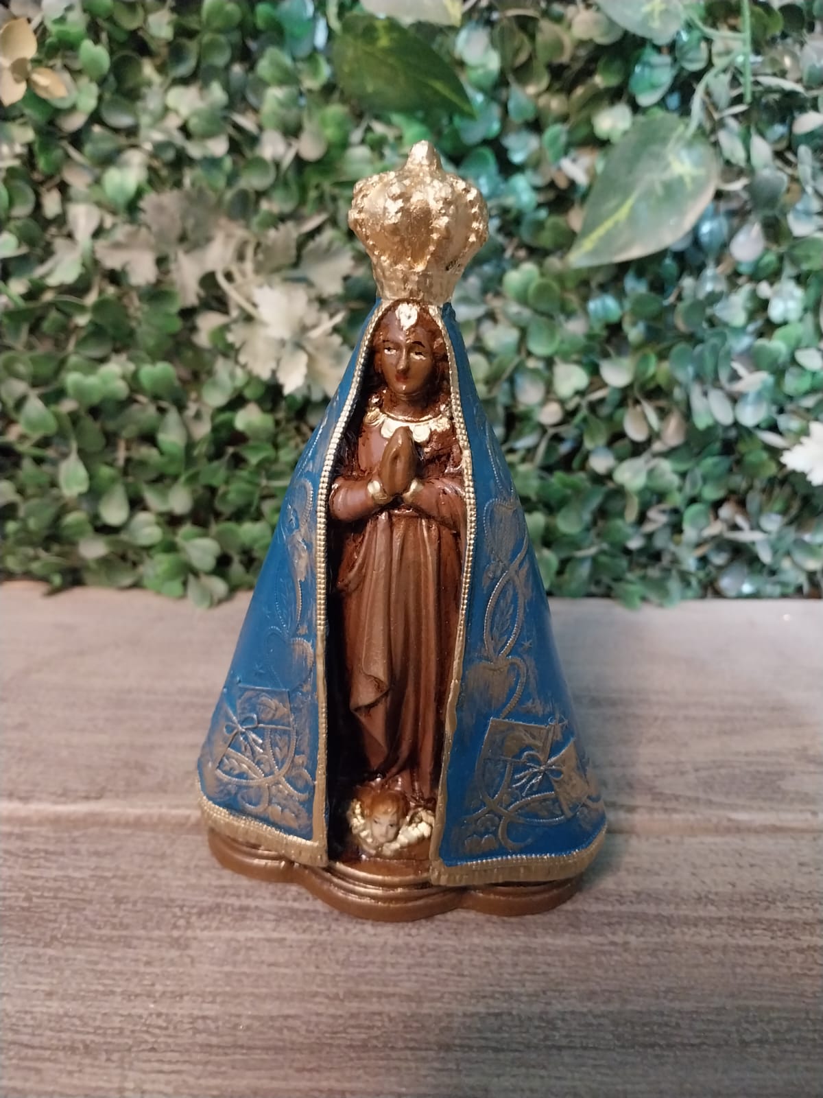 Nossa Senhora Aparecida FAC ENV144