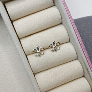 Brinco De Prata Dudalina B1/19