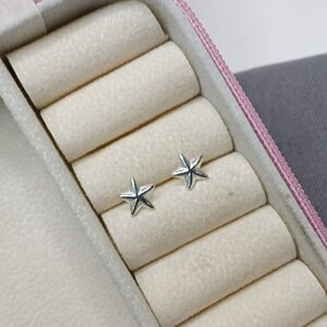 Brinco De Prata Estrela Do Mar Cod:B1/39